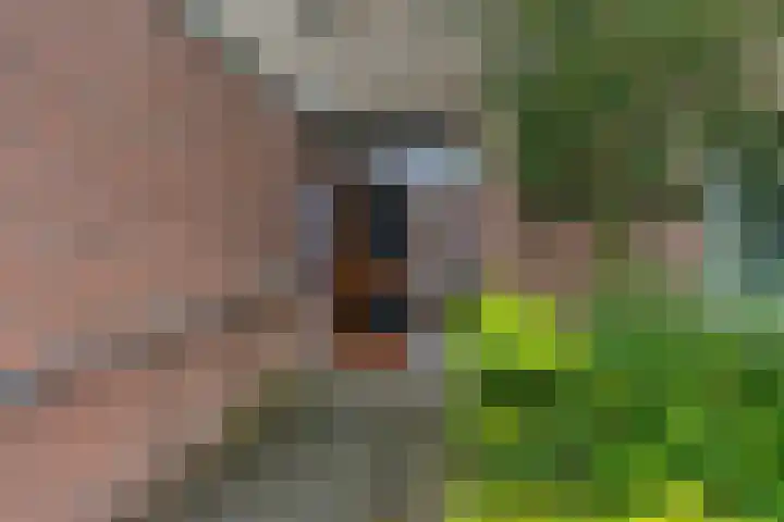 Meerpaal 199 Groningen thumbnail 5