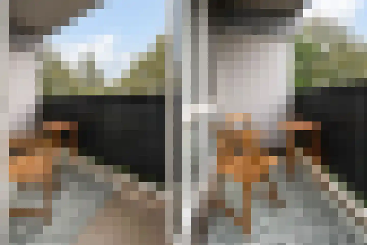 Meerpaal 21 Groningen thumbnail 27