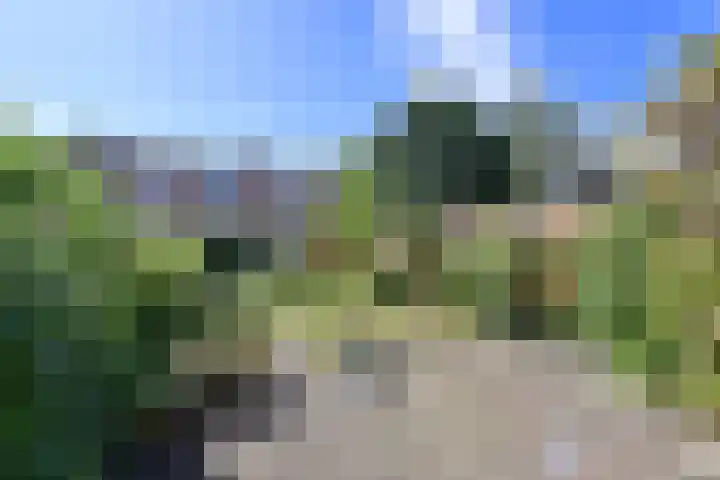 Meerpaal 22 Huizen thumbnail 16