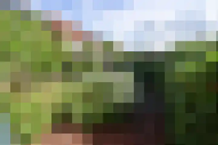 Meerpaal 22 Huizen thumbnail 17