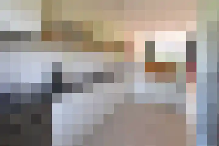 Meerpaal 22 Huizen thumbnail 9