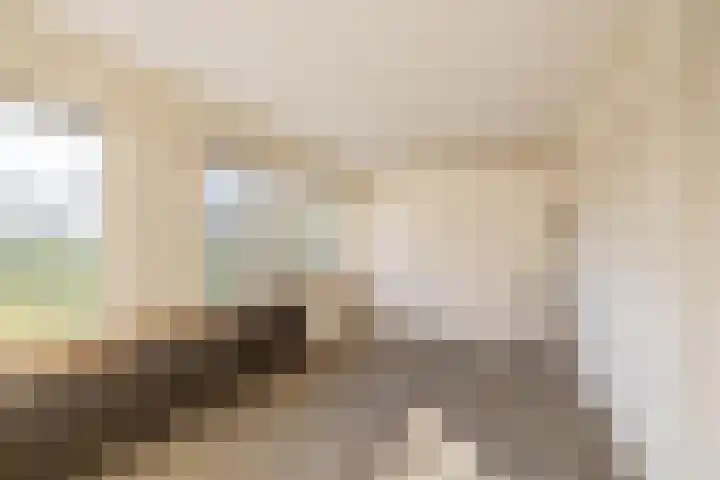 Meerpaal 225 Groningen thumbnail 16