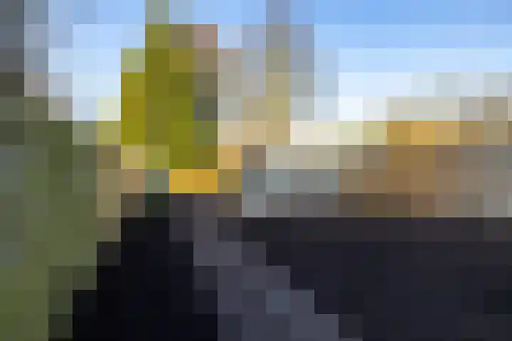 Meerpaal 225 Groningen thumbnail 18