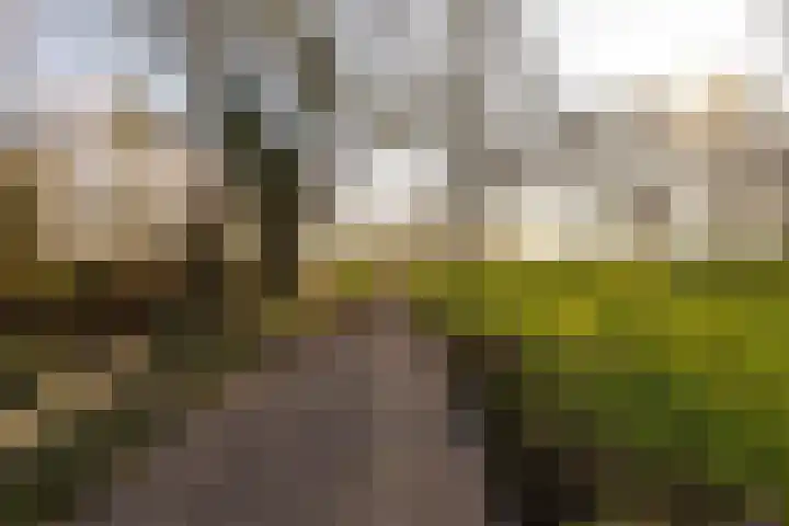 Meerpaal 225 Groningen thumbnail 19