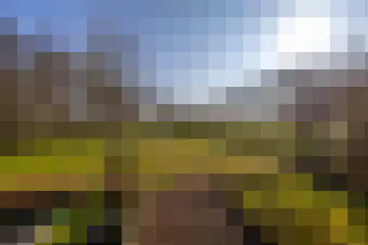Meerpaal 225 Groningen thumbnail 21