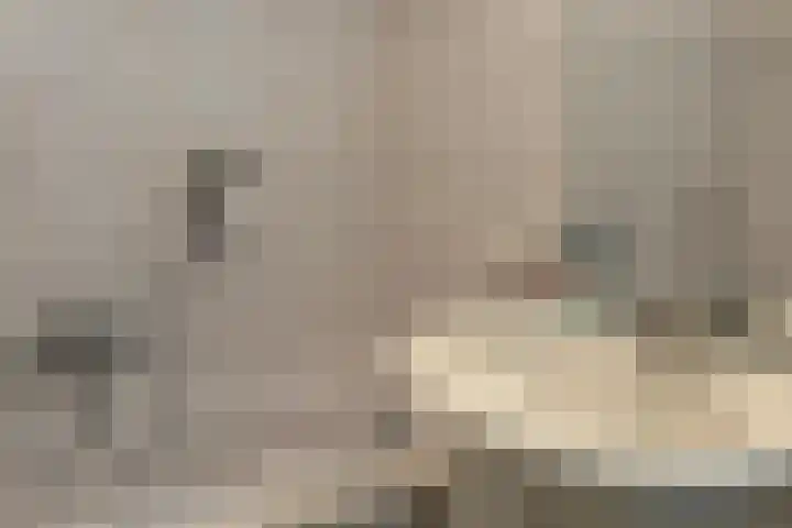 Meerpaal 259 Groningen thumbnail 21