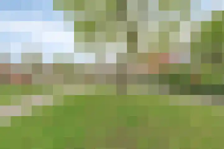 Meerpaal 259 Groningen thumbnail 28