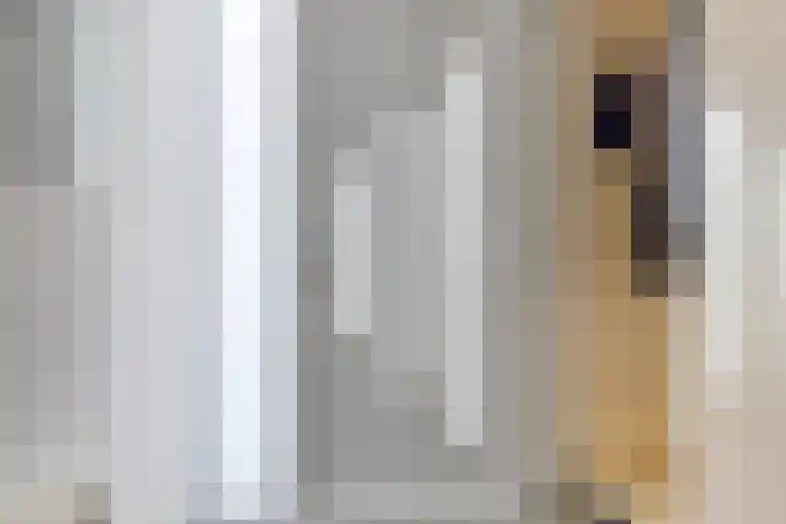 Meerpaal 259 Groningen thumbnail 4