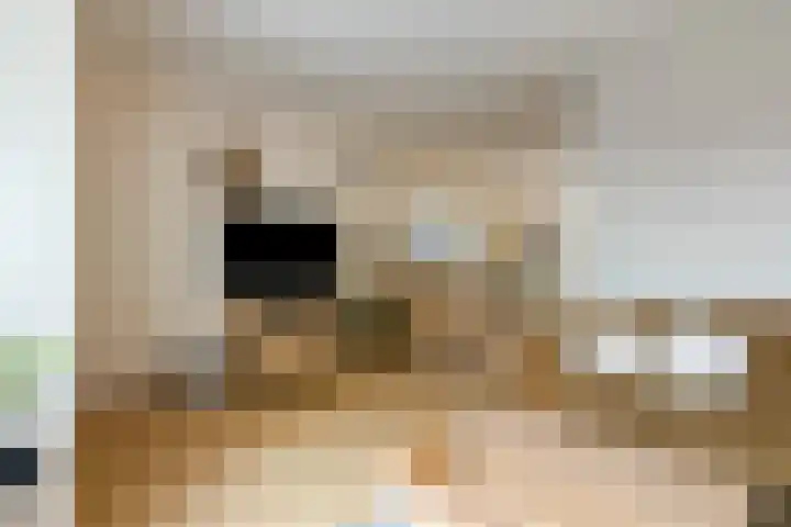 Meerpaal 259 Groningen thumbnail 8
