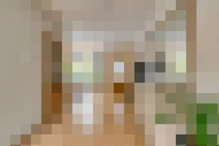Meerpaal 259 Groningen thumbnail 9