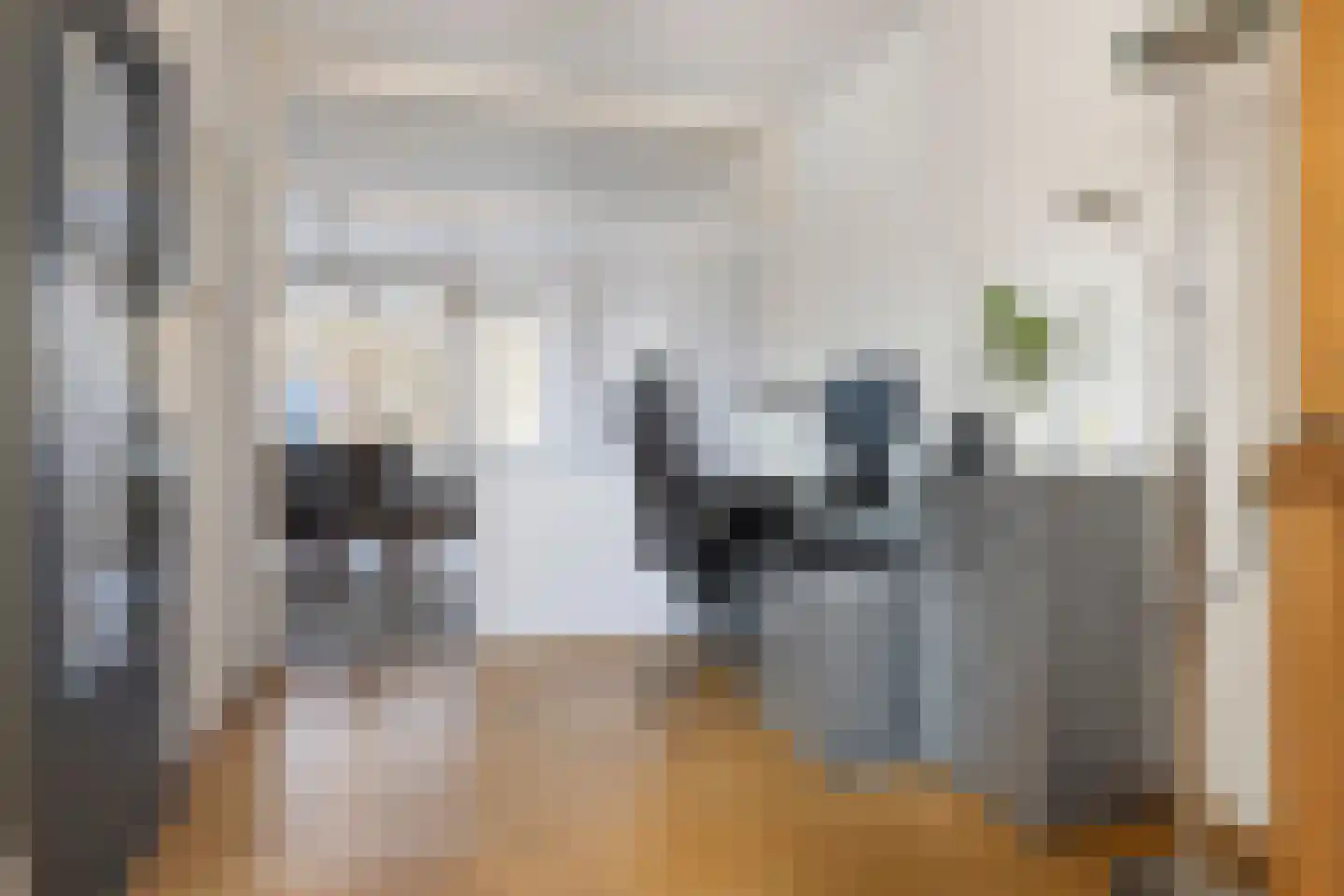 Meerpaal 262 Groningen thumbnail 16