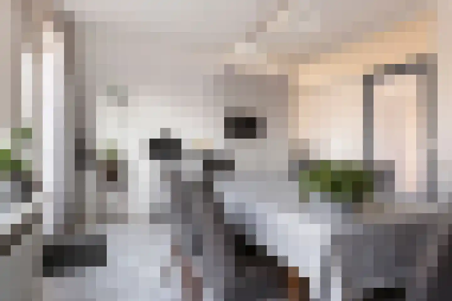Meerpaal 262 Groningen thumbnail 19