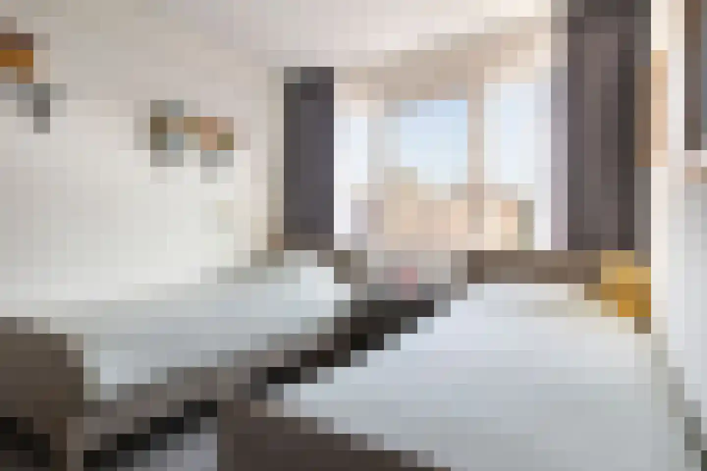 Meerpaal 262 Groningen thumbnail 26