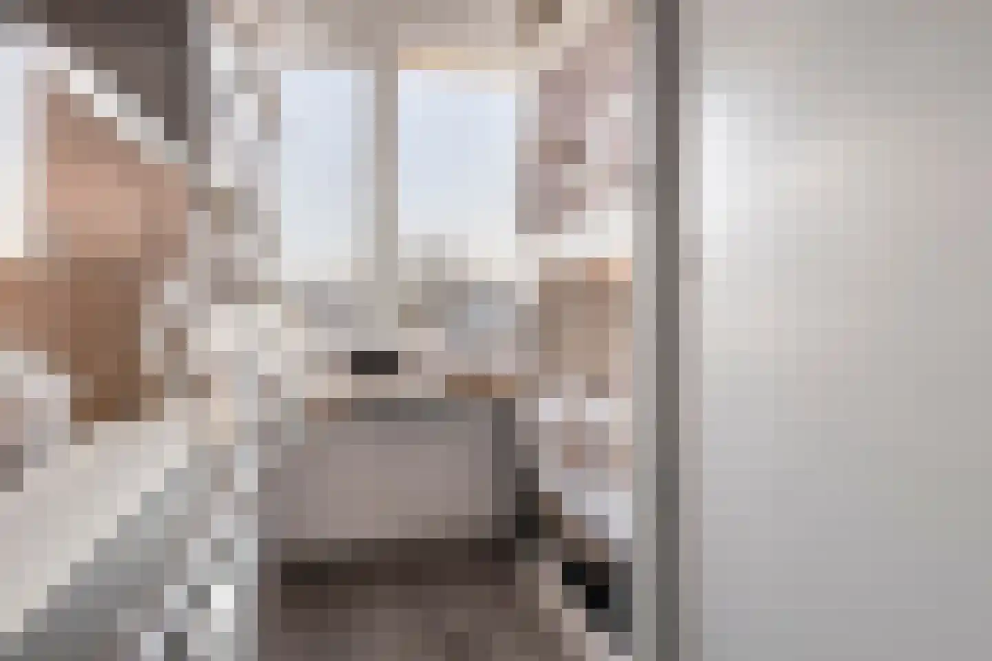 Meerpaal 262 Groningen thumbnail 30