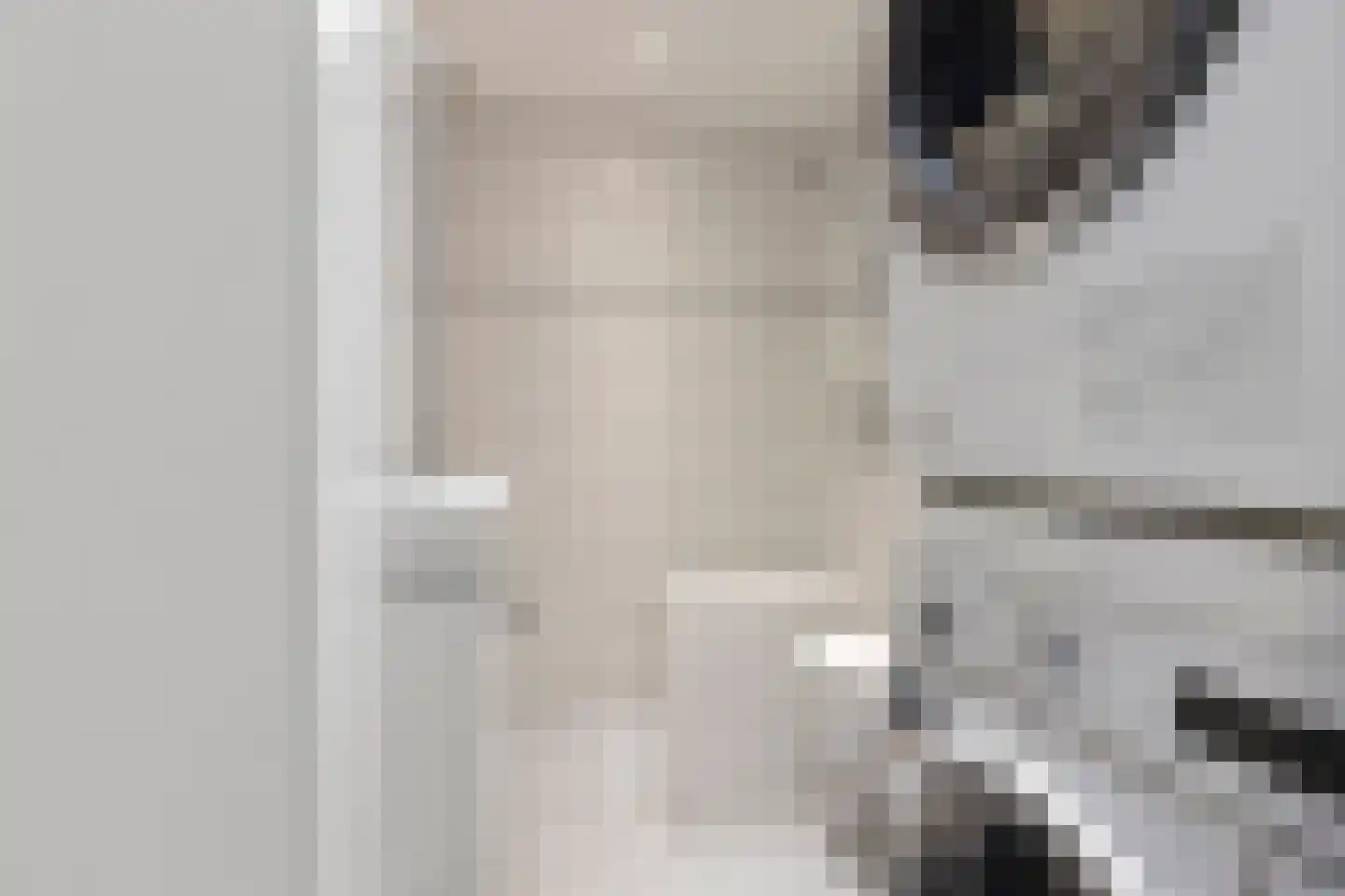 Meerpaal 262 Groningen thumbnail 31