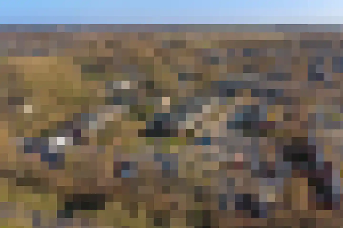 Meerpaal 262 Groningen thumbnail 40