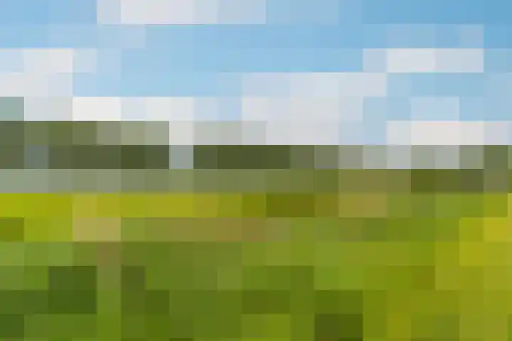 Meerpaal 29 Amstelveen thumbnail 32