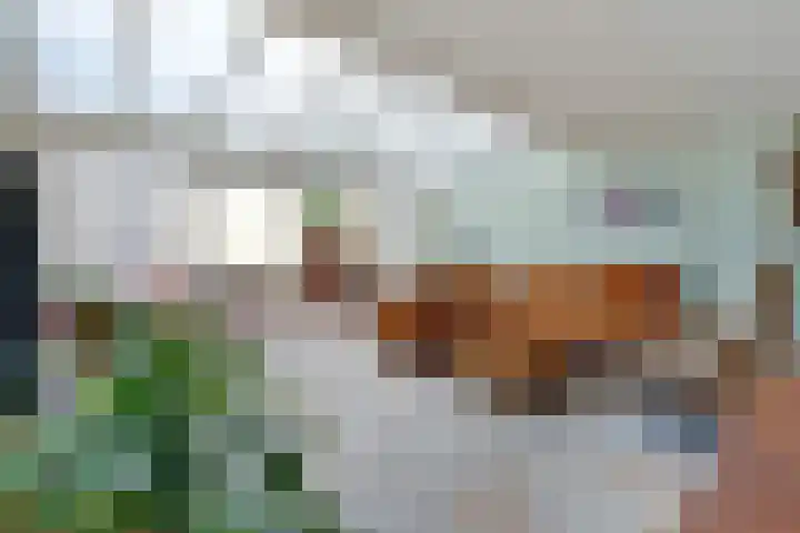 Meerpaal 29 Amstelveen thumbnail 7