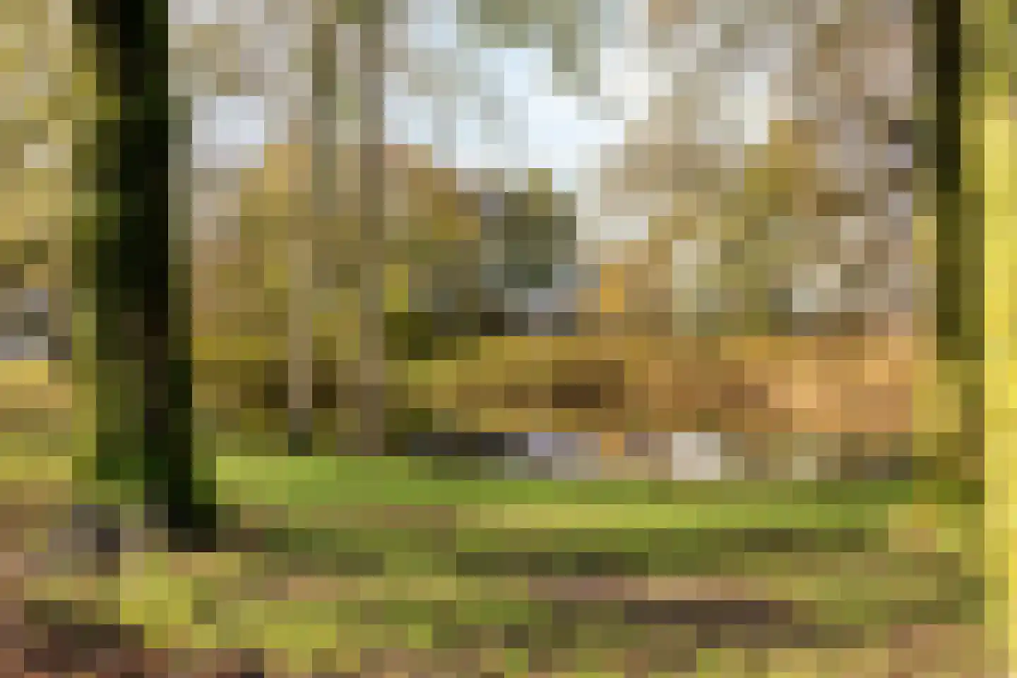 Meerpaal 313 Groningen thumbnail 34