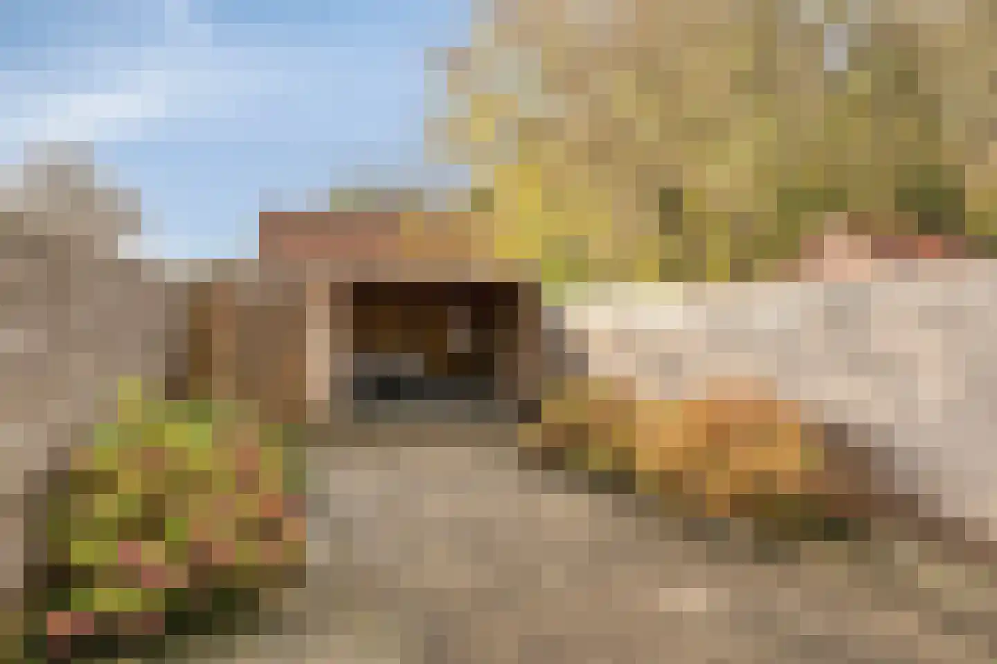 Meerpaal 313 Groningen thumbnail 4