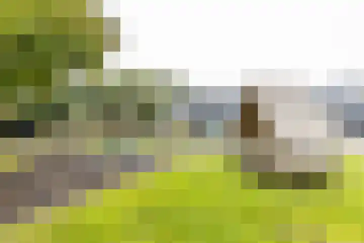 Meerpaal 314 Groningen thumbnail 10