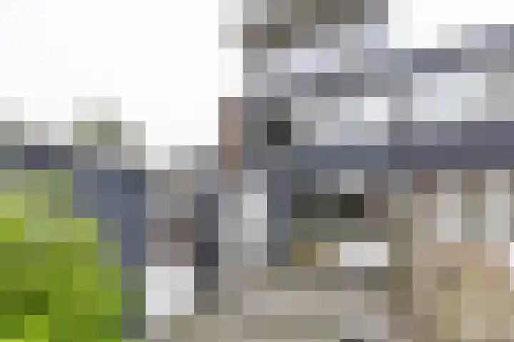 Meerpaal 314 Groningen thumbnail 11