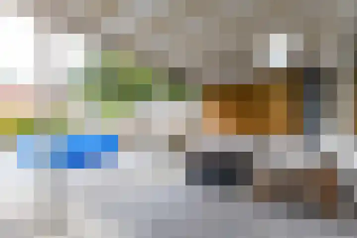 Meerpaal 314 Groningen thumbnail 23
