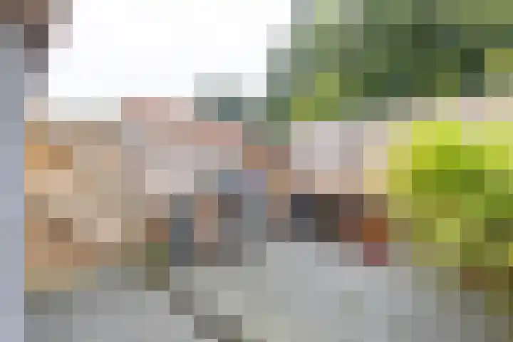 Meerpaal 314 Groningen thumbnail 28