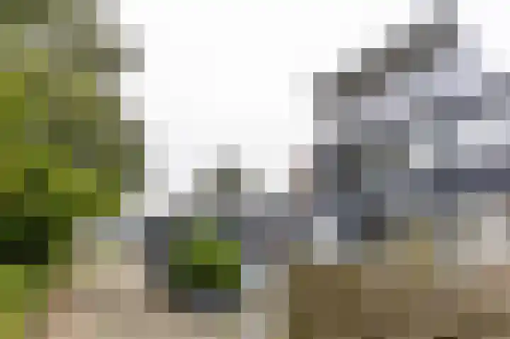 Meerpaal 314 Groningen thumbnail 4