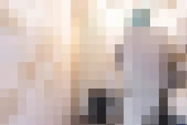 Meerpaal 314 Groningen thumbnail 40