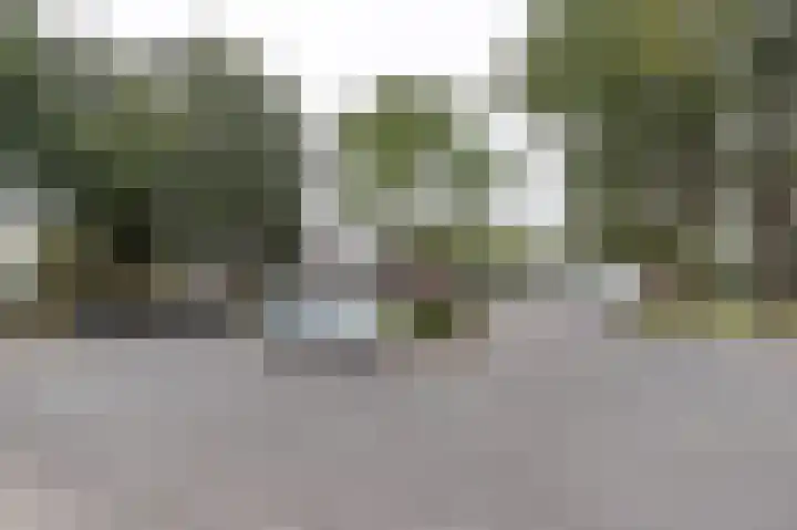 Meerpaal 314 Groningen thumbnail 9