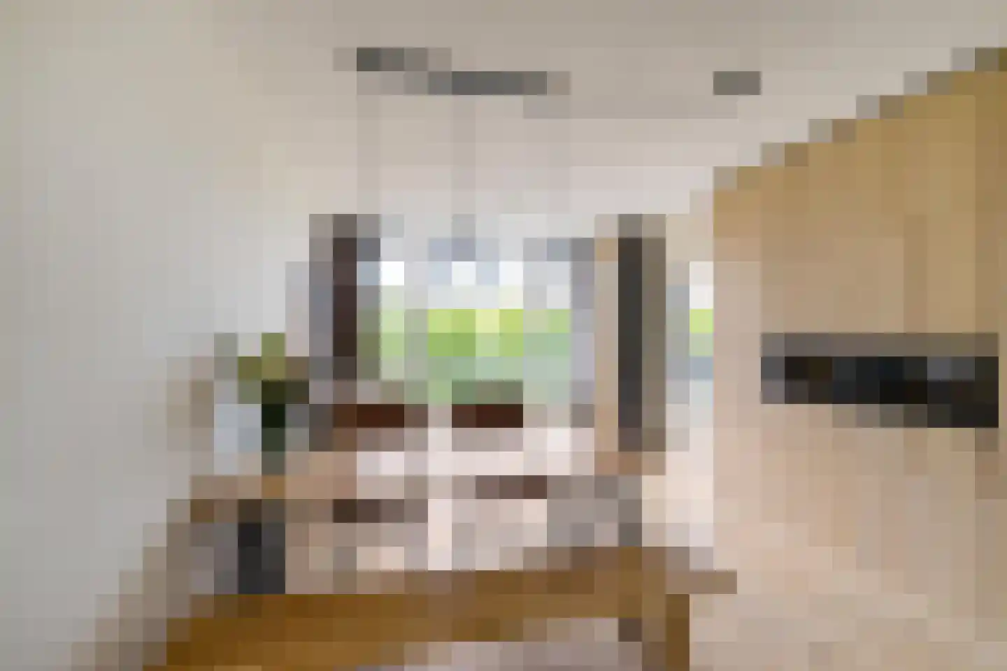 Meerpaal 32 Groningen thumbnail 5
