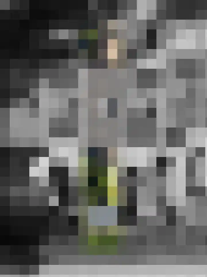 Meerpaal 321 Groningen thumbnail 43
