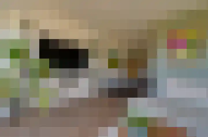 Meerpaal 321 Groningen thumbnail 8