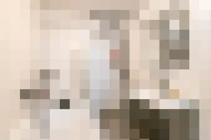 Meerpaal 339 Groningen thumbnail 30