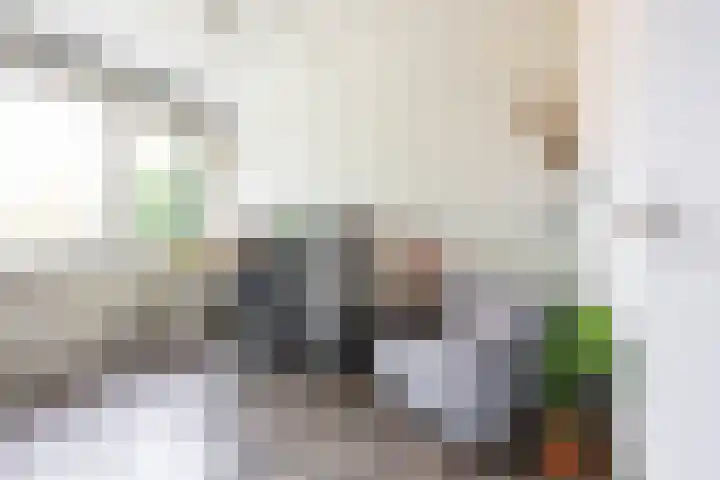 Meerpaal 339 Groningen thumbnail 31