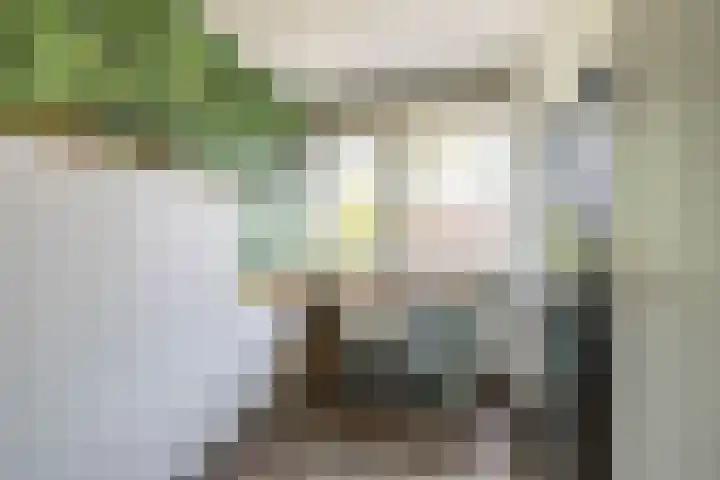 Meerpaal 339 Groningen thumbnail 33