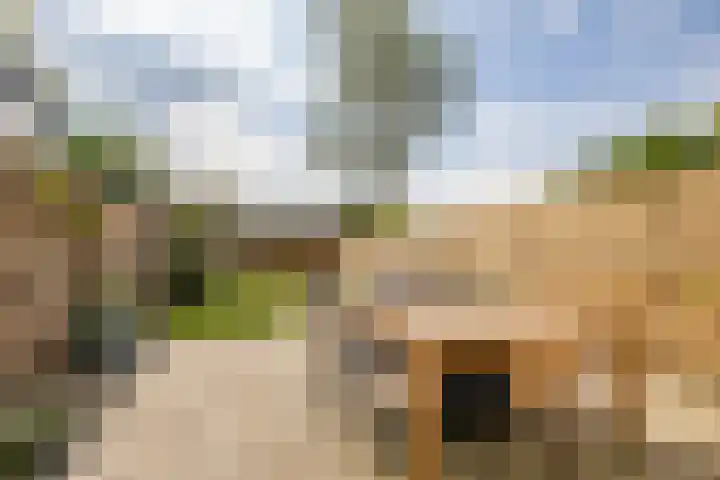 Meerpaal 339 Groningen thumbnail 36