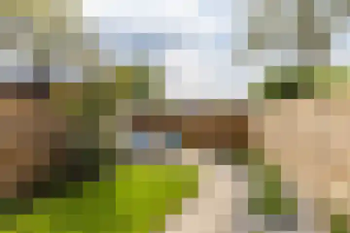 Meerpaal 339 Groningen thumbnail 37