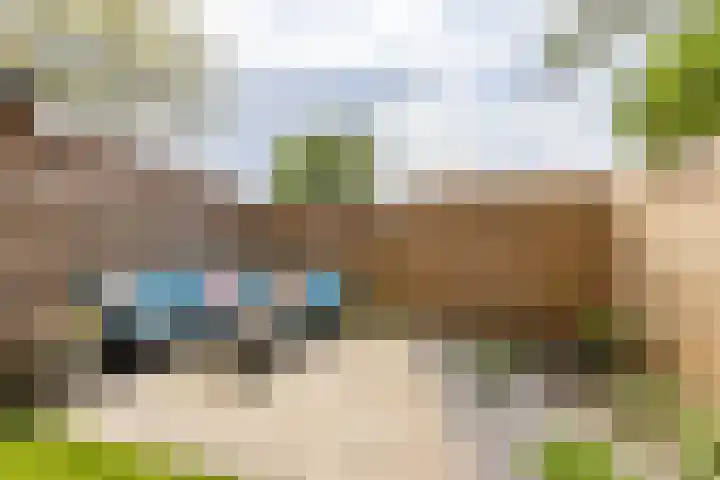 Meerpaal 339 Groningen thumbnail 38