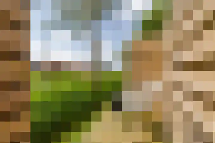 Meerpaal 339 Groningen thumbnail 39