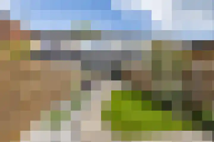 Meerpaal 339 Groningen thumbnail 4