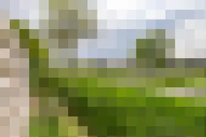 Meerpaal 339 Groningen thumbnail 40