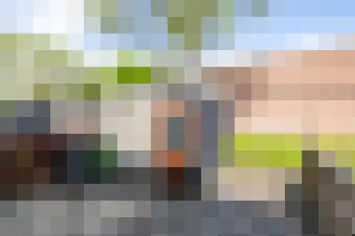 Meerpaal 339 Groningen thumbnail 42
