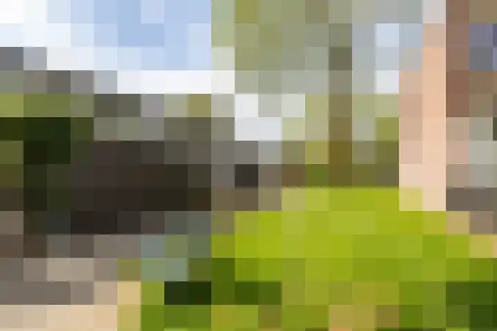 Meerpaal 339 Groningen thumbnail 43