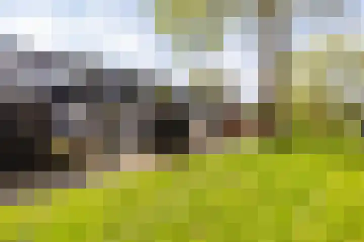 Meerpaal 339 Groningen thumbnail 5