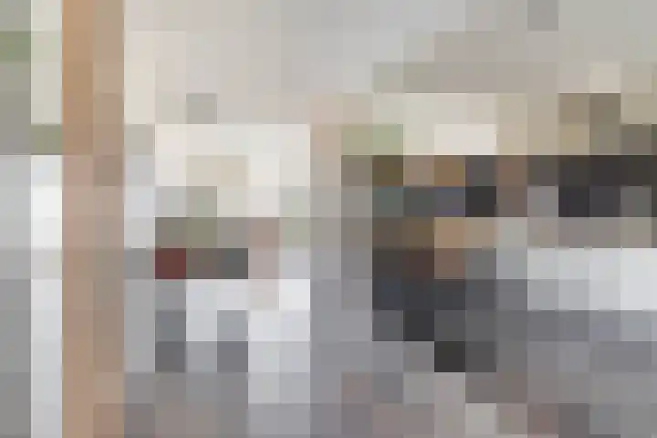 Meerpaal 339 Groningen thumbnail 8