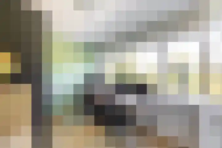 Meerpaal 36 Groningen thumbnail 10