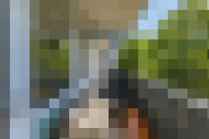 Meerpaal 36 Groningen thumbnail 19