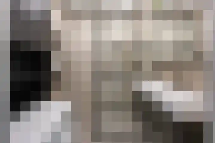 Meerpaal 36 Groningen thumbnail 33